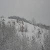 Onnion 2006 371
